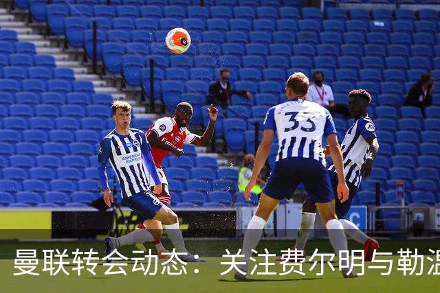 曼联转会动态：关注费尔明与勒温的潜在引入