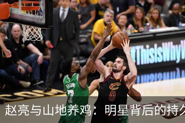赵亮与山地养鸡：明星背后的持久经营之路